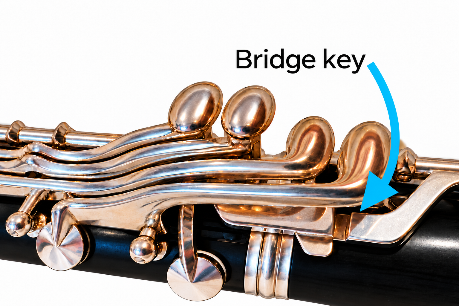 Close-up labeled Bridge key with a blue arrow marking the bridge-key connection